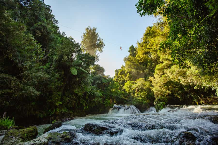 Okere Falls: Zipline over Waterfalls Experience - Flying over the falls and through native forest