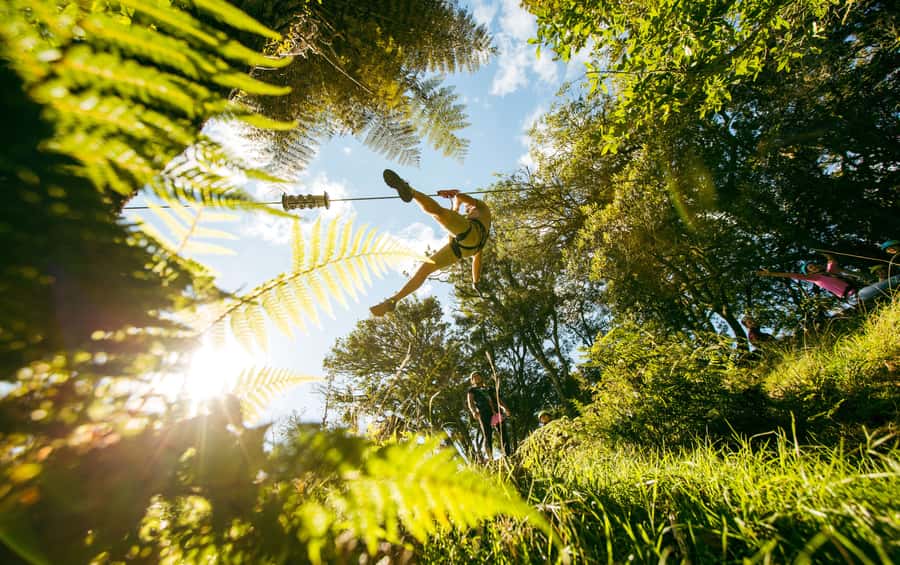 Okere Falls: Zipline over Waterfalls Experience - The Māori stories and forest lessons
