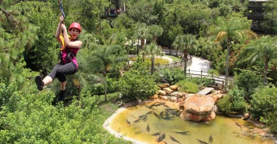 Orlando: Gatorland Zipline Adventure w/ Full-Day Park Access - Key points at a glance