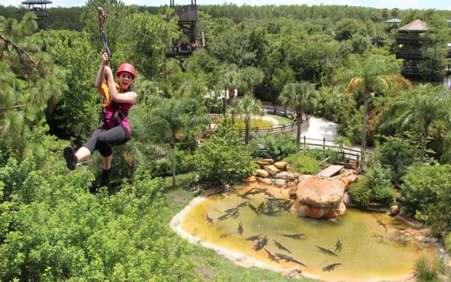 Orlando: Gatorland Zipline Adventure w/ Full-Day Park Access - Crocodiles, alligators, and a very different view