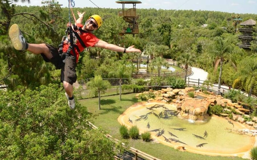 Orlando: Gatorland Zipline Adventure w/ Full-Day Park Access - Launching from platforms up to 65 feet high