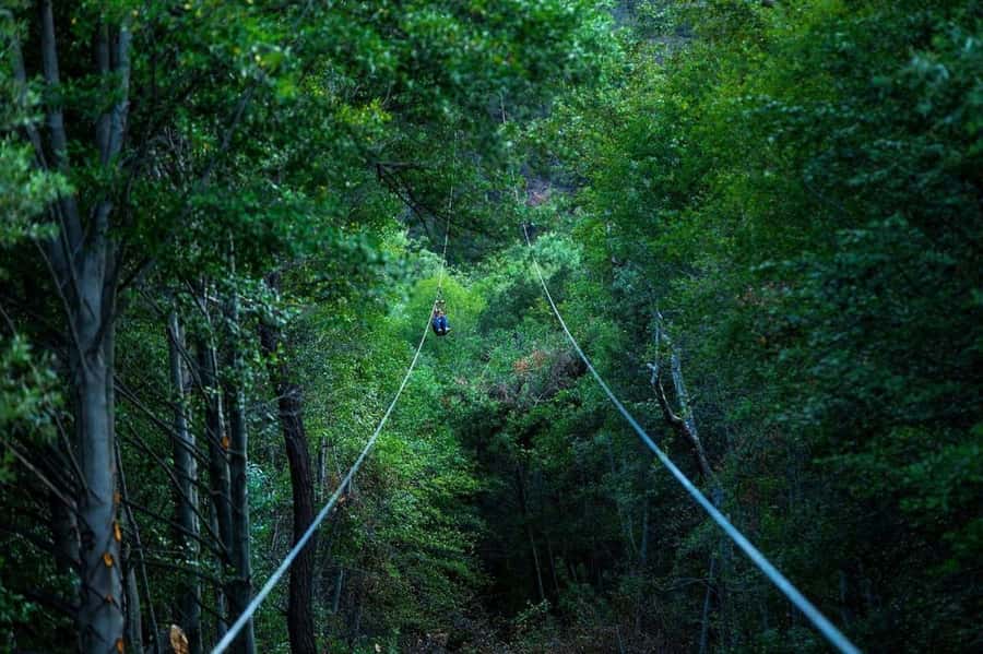 Pauma Valley: Ziplining Tour - Should you book the Pauma Valley zipline tour?
