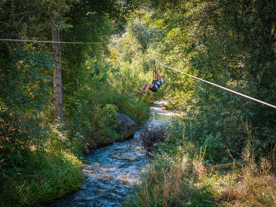Pauma Valley: Ziplining Tour - Is $125 a fair price?