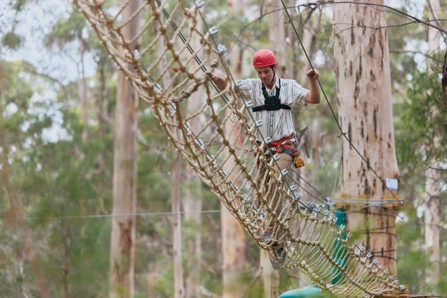 Pemberton: 2.5h Ultimate Ziplines & High Ropes Experience - Taking on the 50-plus high ropes games