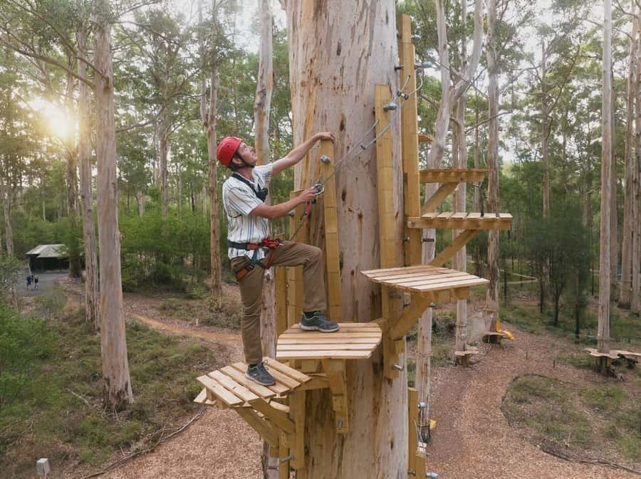 Pemberton: 2.5h Ultimate Ziplines & High Ropes Experience - Flying through the karri canopy