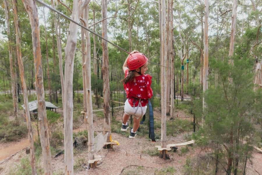 Pemberton: 2.5h Ultimate Ziplines & High Ropes Experience - Timing, cancellation, and practical booking advice