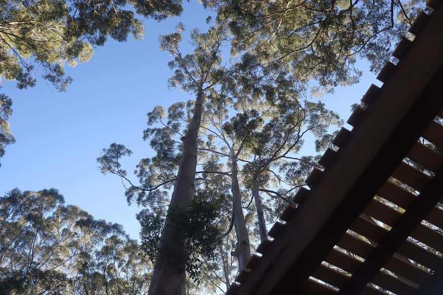 Pemberton: 2.5h Ultimate Ziplines & High Ropes Experience - The briefing makes the first challenge easier