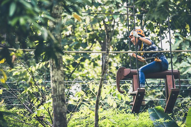 Phoenix Zipline Adventure Park – Chiang Mai Thrills - Is $37.65 a fair price?