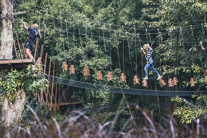 Phoenix Zipline Adventure Park – Chiang Mai Thrills - The challenges above the forest floor