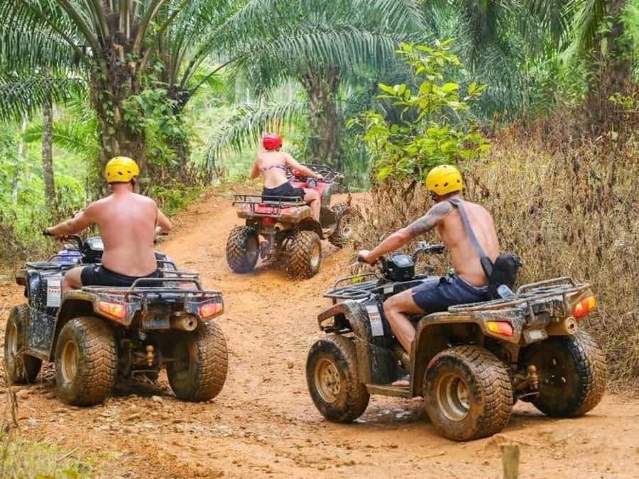 Phuket: Bird Park, Elephant Feeding, ATV Ride & City Tour - What makes this Phuket day distinctive