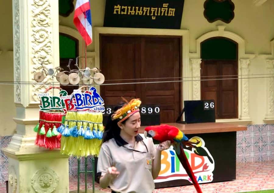 Phuket: Bird Park, Elephant Feeding, ATV Ride & City Tour - Bird Park: the most camera-friendly stop