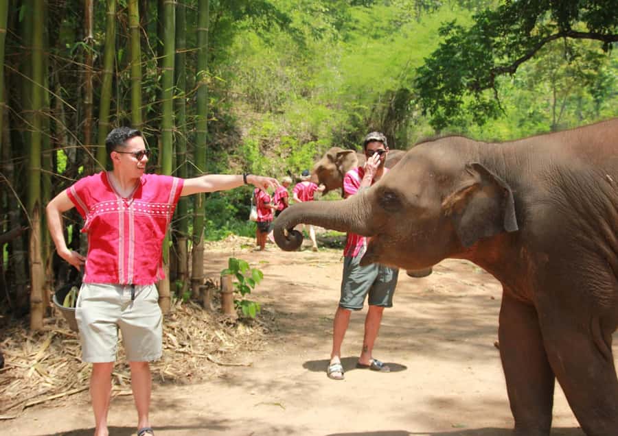 Phuket: Bird Park, Elephant Feeding, ATV Ride & City Tour - Chalong Temple, Phuket’s major spiritual stop