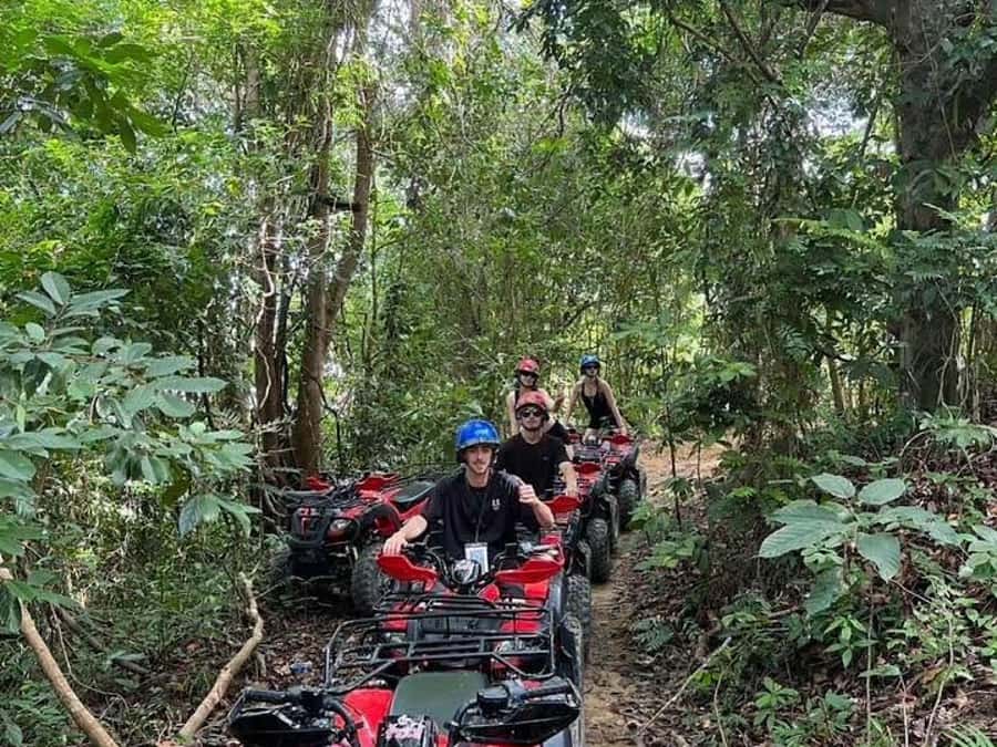 Phuket: Bird Park, Elephant Feeding, ATV Ride & City Tour - Phuket Old Town after the outdoor stops