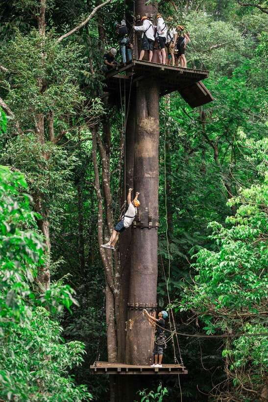 Phuket: Flying Hanuman Zipline Adventure - From the first platform to the final cable