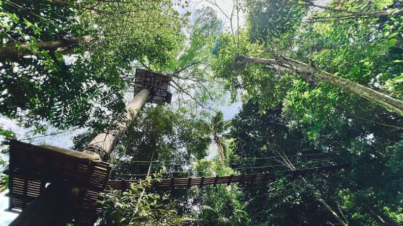 Phuket: Flying Hanuman Zipline Adventure - Is $76 good value?