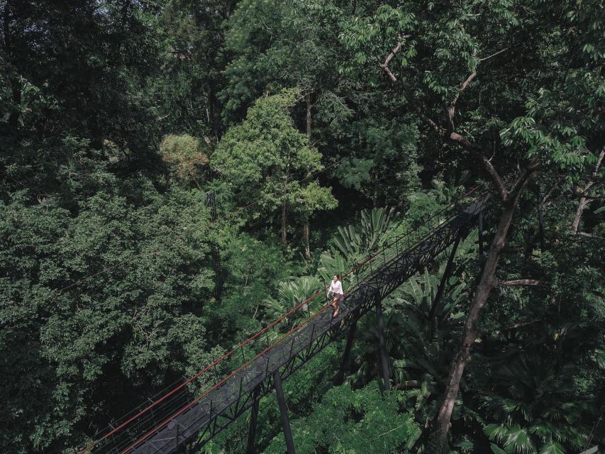 Phuket: Hanuman World Zip Line Adventure - Rappels, bridges, stairs, and the forest roller