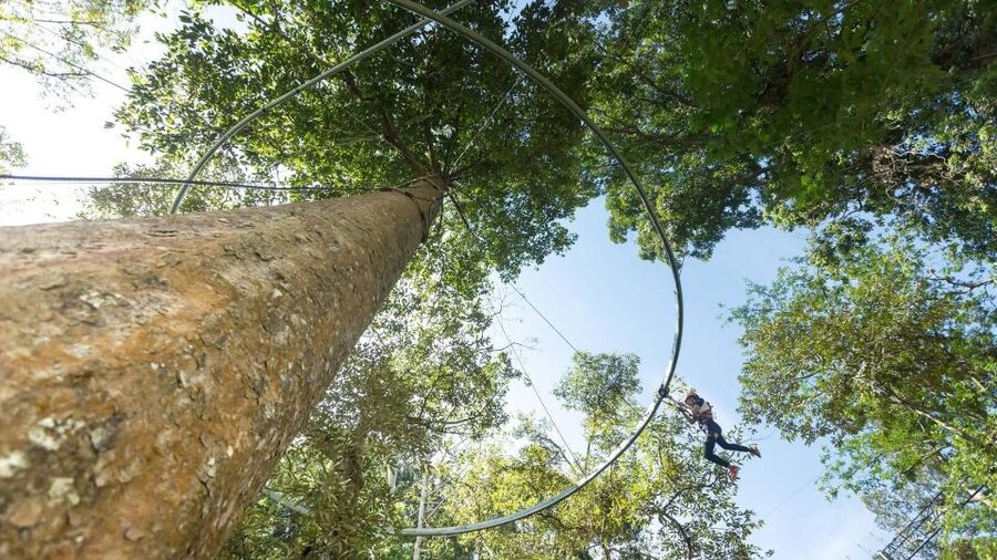 Phuket: Hanuman World Zip Line Adventure - Practical timing and comfort tips