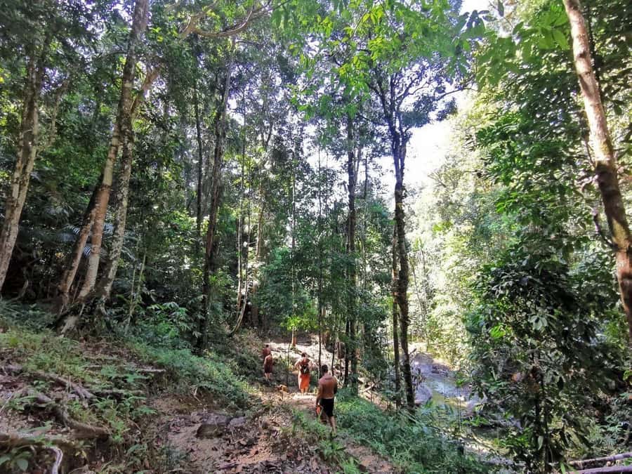 Phuket: Monkey Cave, Water Rafting, Zipline with ATV Option - The optional 30-minute ATV ride