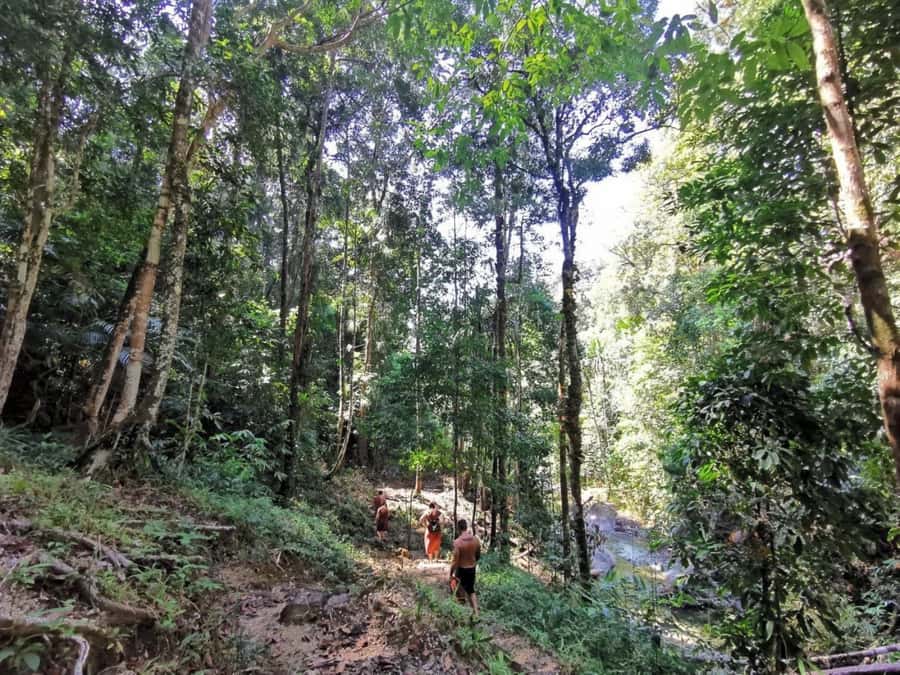 Phuket: Monkey Cave, Water Rafting, Zipline with ATV Option - How good is the guiding?
