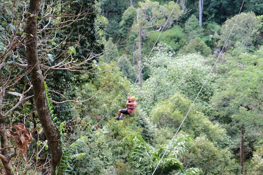 Phuket: Paradise Jungle Zipline Adventure - Safety, fitness, and who should skip it