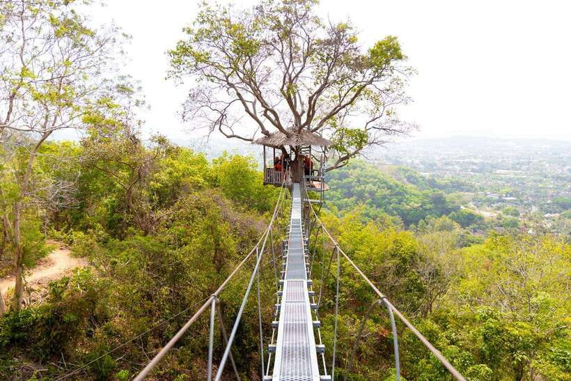 Phuket: Zipline Flying Higher than a Hawk with ATV Option - Getting Above Phuket’s Jungle Canopy