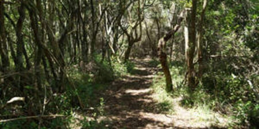 Plettenberg: 2-Hour Zipline Tour - Is Two Hours Enough?