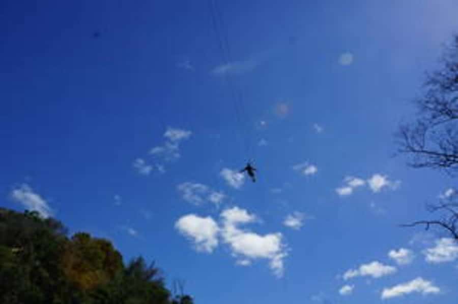 Plettenberg: 2-Hour Zipline Tour - Safety, Comfort, and the Guides