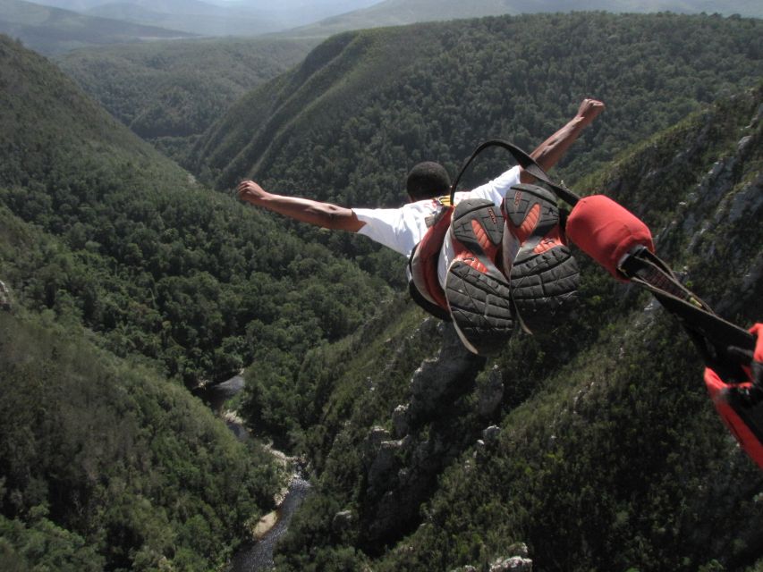 Plettenberg Bay: Bungee Jumping with Zipline and Sky Walk - The Zipline Helps You Get Used to the Height