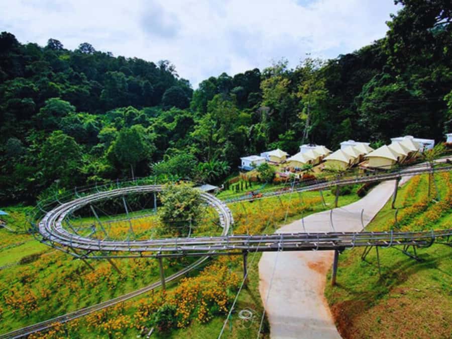 Pongyang Jungle Coaster & Zipline (Transfer) - Flying through the trees on the zipline