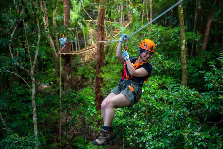 Port Douglas: Daintree National Park Tour, Cruise, & Zipline - Why this Daintree day works so well