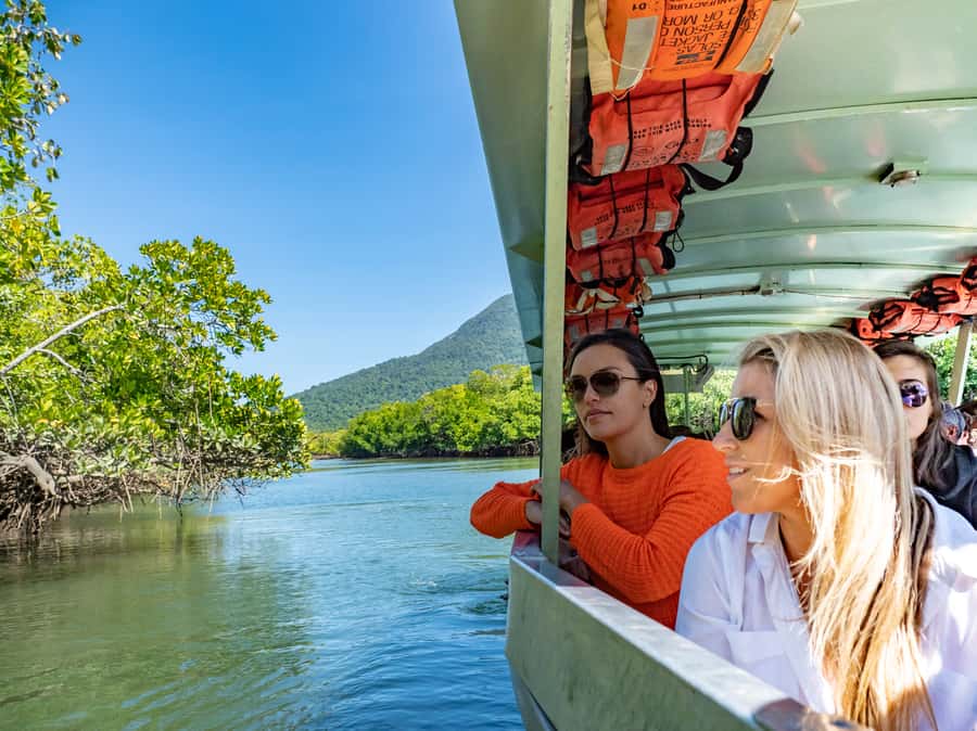 Port Douglas: Daintree National Park Tour, Cruise, & Zipline - Cape Tribulation, where forest meets reef
