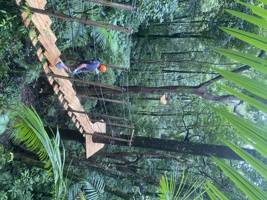 Port Douglas: Daintree National Park Tour, Cruise, & Zipline - Lunch gives the day a needed reset