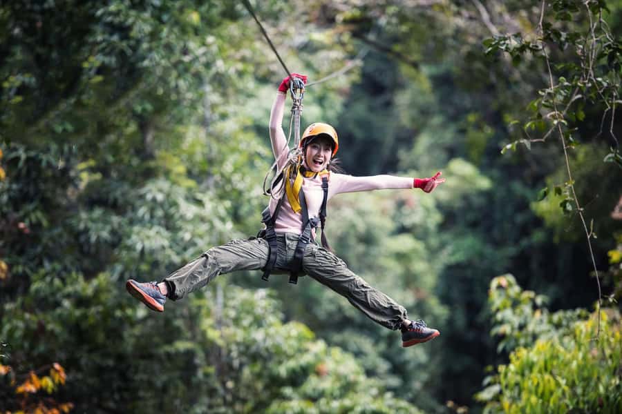 Port Douglas: Daintree Rainforest Canopy Ziplining Tour - Key points at a glance