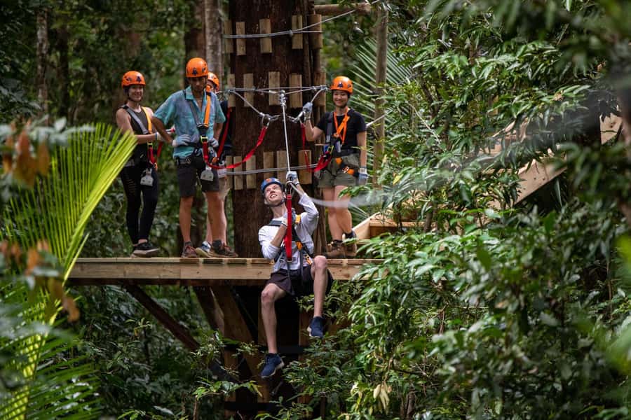 Port Douglas: Daintree Rainforest Canopy Ziplining Tour - Reaching the Daintree canopy from Port Douglas