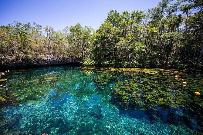 Private Coba & Jungle Adventure: Zipline, Rappel & Cenote - Rappelling into a cenote