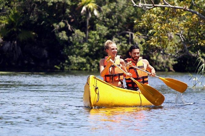 Private Coba & Jungle Adventure: Zipline, Rappel & Cenote - Who should book this private adventure