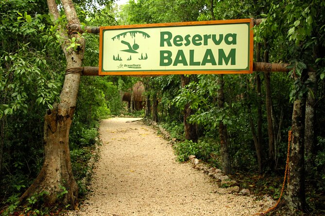 Private Jungle Adventure tour: Zipline + Rappel + Cenote - What to bring and what to skip