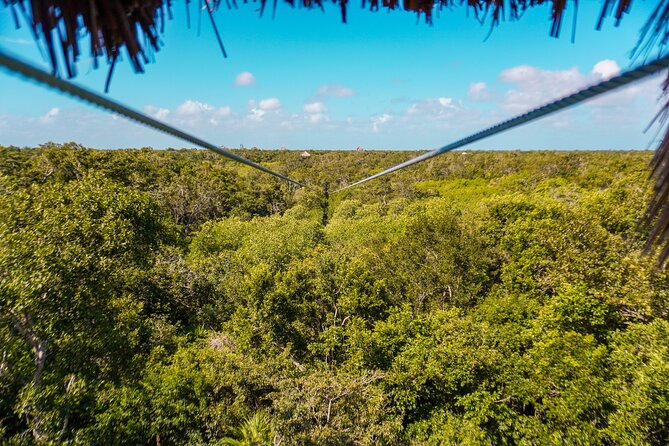 Private Jungle Adventure tour: Zipline + Rappel + Cenote - Who should book this jungle adventure?
