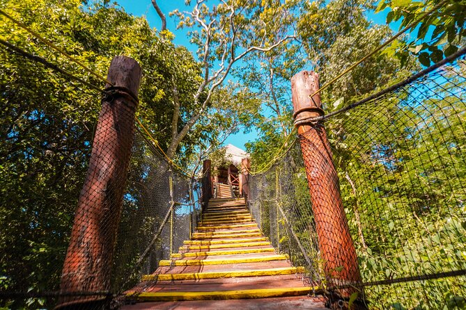 Private Jungle Adventure tour: Zipline + Rappel + Cenote - The zipline delivers the first burst of speed