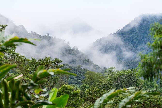 PRIVATE Mindo Cloud Forest tour - What makes this Mindo day trip worth considering