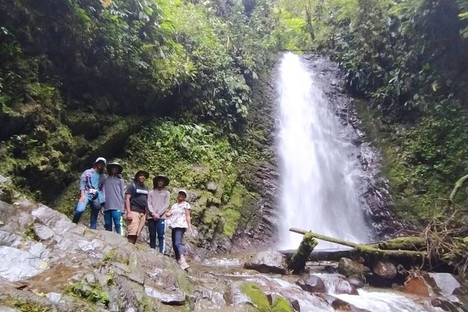 PRIVATE Mindo Cloud Forest tour - Is the $130 price fair?