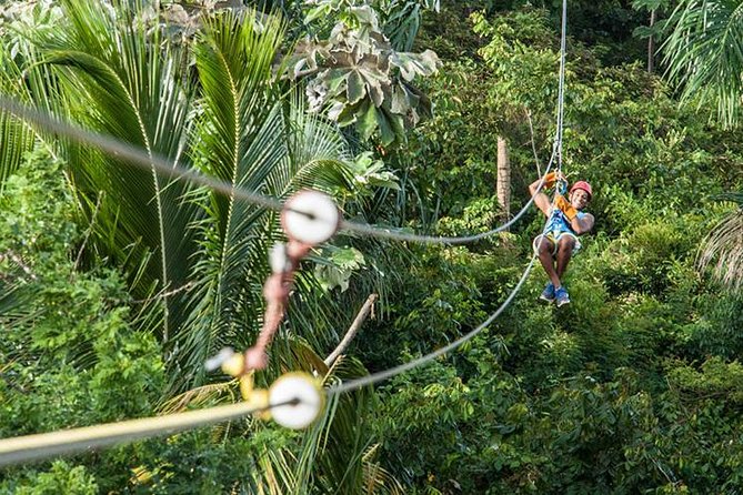 PRIVATE Mindo Cloud Forest tour - Butterflies, orchids, and the small-town side of Mindo