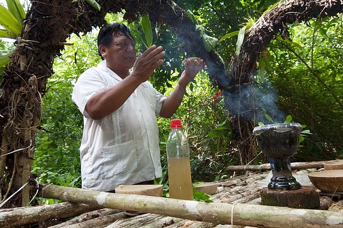 Private Tour Punta Laguna Monkey Sanctuary Zip Line - Searching the forest for spider and howler monkeys