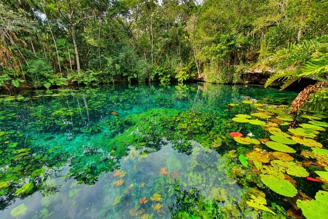 Private Tour Tankah 3 Zip Lines 3 Cenotes Canoe Snorkel Community - Three cenotes, three different reasons to stop