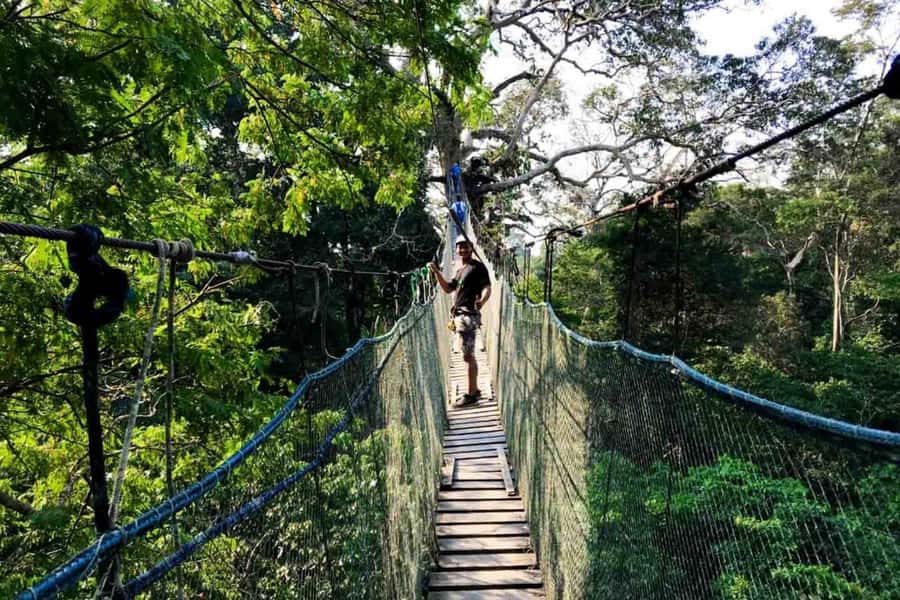 Puerto Maldonado: Jungle Adventure |Zipline + Canopy + Kayak - Two short zip lines above the forest