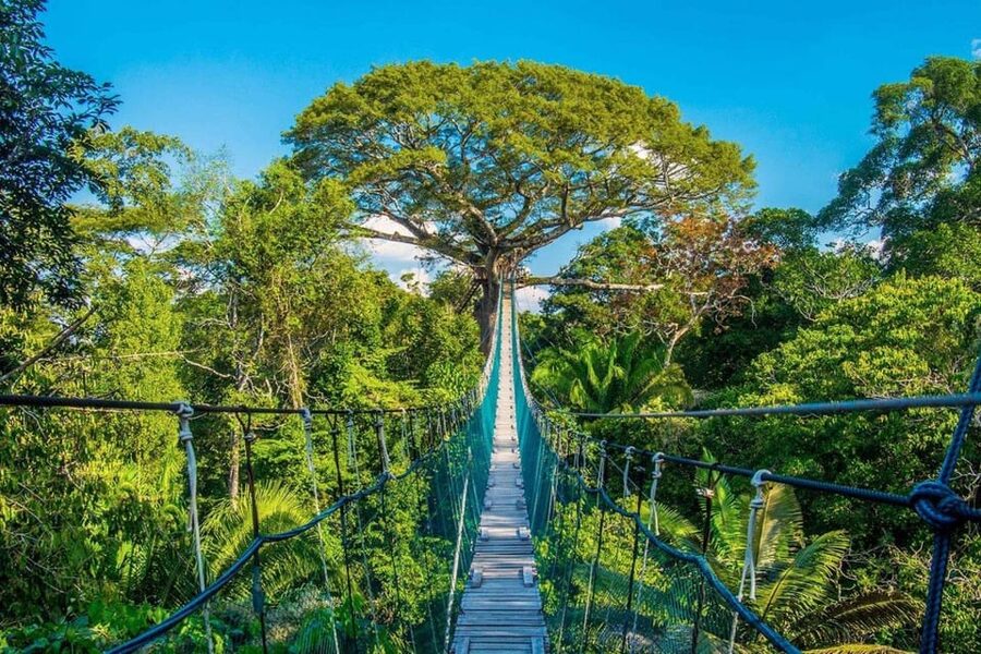 Puerto Maldonado: Jungle Adventure |Zipline + Canopy + Kayak - Who should book this jungle day?