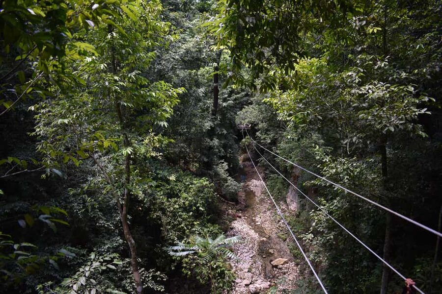 Puerto Plata/Amber Cove: Zipline and Waterfalls with Lunch - Key things to know before you book