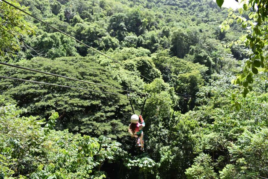 Puerto Plata/Amber Cove: Zipline and Waterfalls with Lunch - Five ziplines above jungle and falls