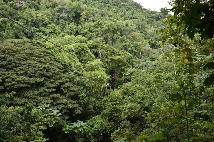 Puerto Plata/Amber Cove: Zipline and Waterfalls with Lunch - Rope bridges and the seventh waterfall
