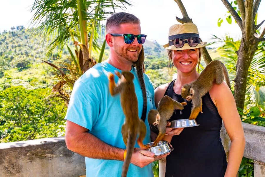 Puerto Plata: Monkeyland and Zip-Line Adventure - More than a mile over the Puerto Plata jungle